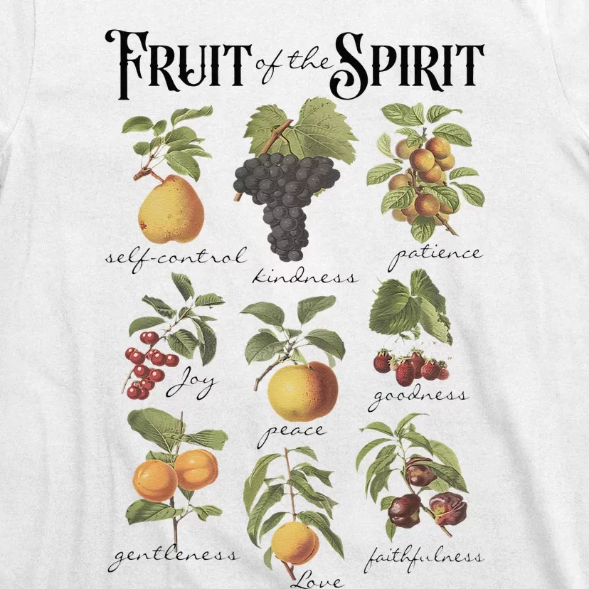 Fruit Of The Spirit Christian Faith Galatians 522 Jesus God T-Shirt