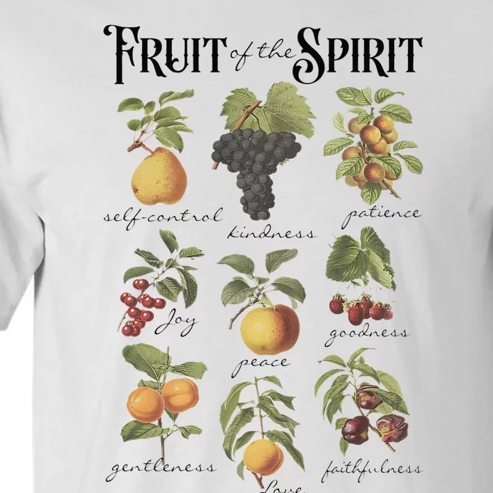 Fruit Of The Spirit Christian Faith Galatians 522 Jesus God Tall T-Shirt