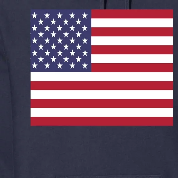 Flag of the United States USA American Premium Hoodie