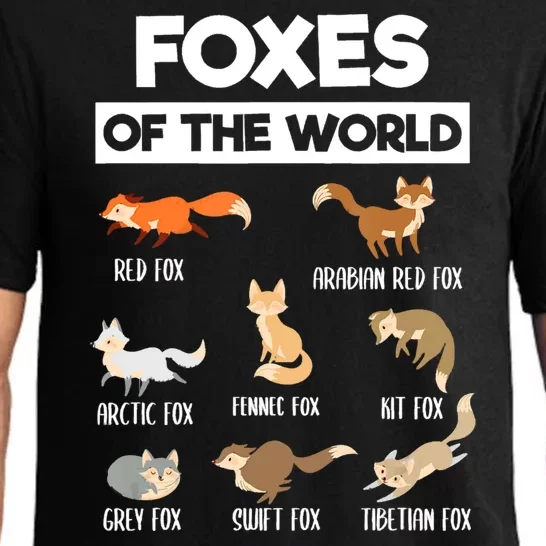 Foxes Of The World Funny Fox Animals Educational Fox Lover Pajama Set