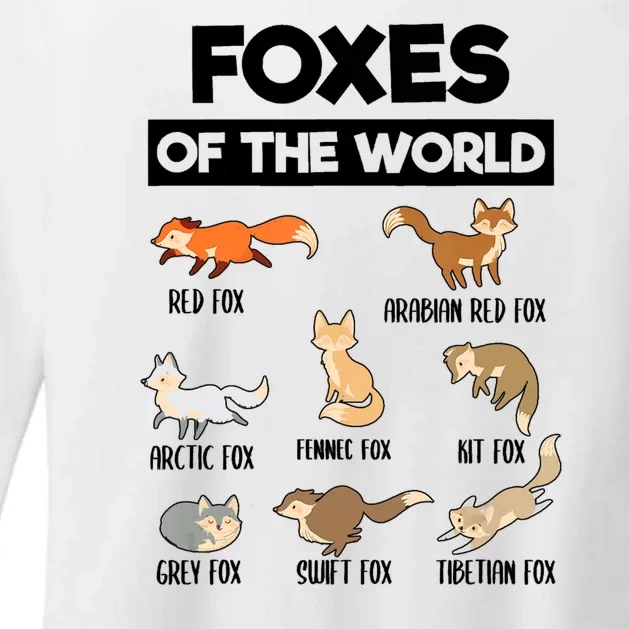 Foxes Of The World Funny Fox Animals Educational Fox Lover Womens CVC Long Sleeve Shirt