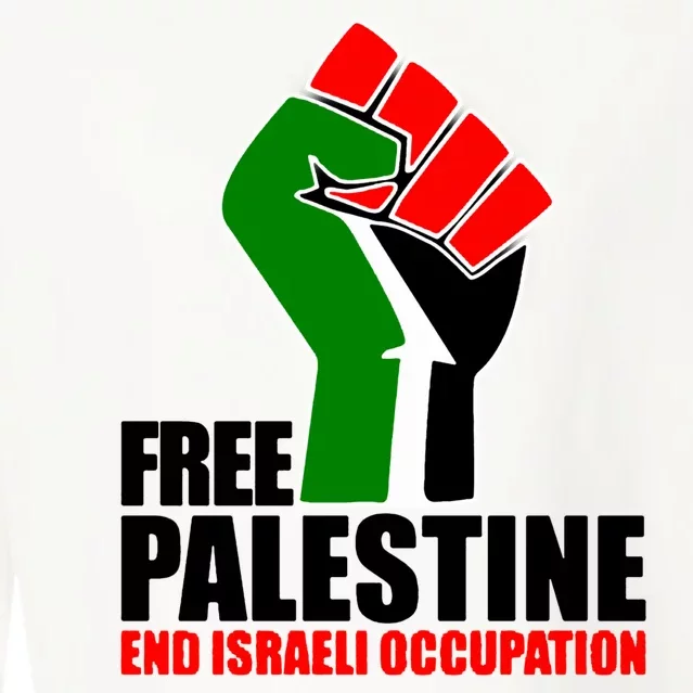 Free Palestine And End Israeli Occupation Cropped Pullover Crew