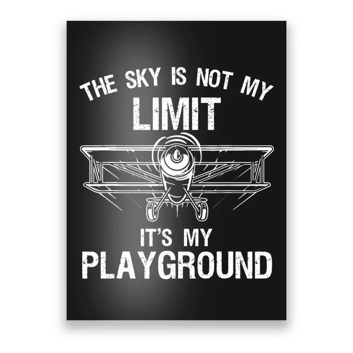 Funny Pilot Art For Airplane Pilot Aviation Poster