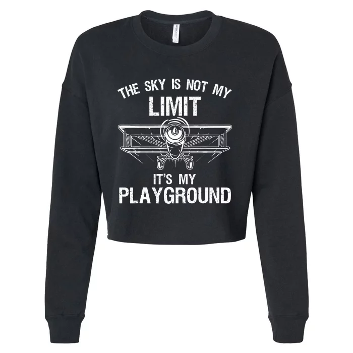 Funny Pilot Art For Airplane Pilot Aviation Cropped Pullover Crew