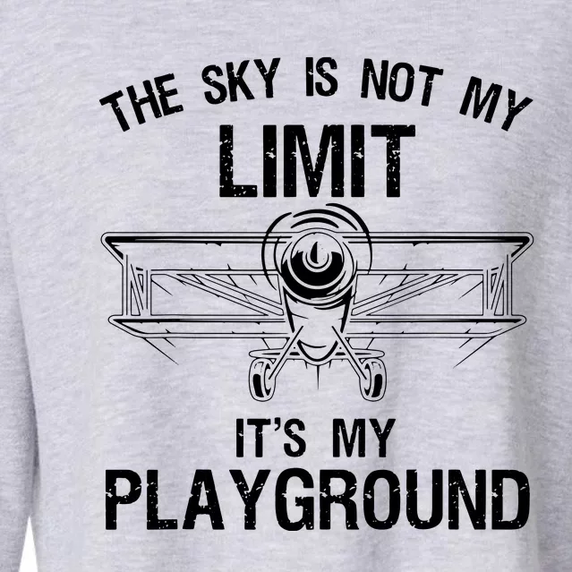 Funny Pilot Art For Men Women Airplane Pilot Aviation Cropped Pullover Crew