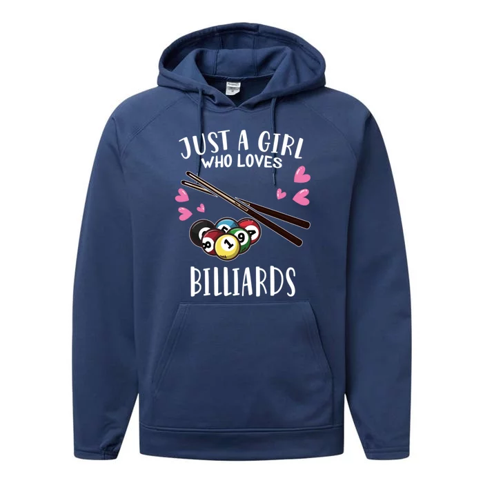 Funny Pool Billiard Lover Just A Who Loves Billiards Gift Performance Fleece Hoodie