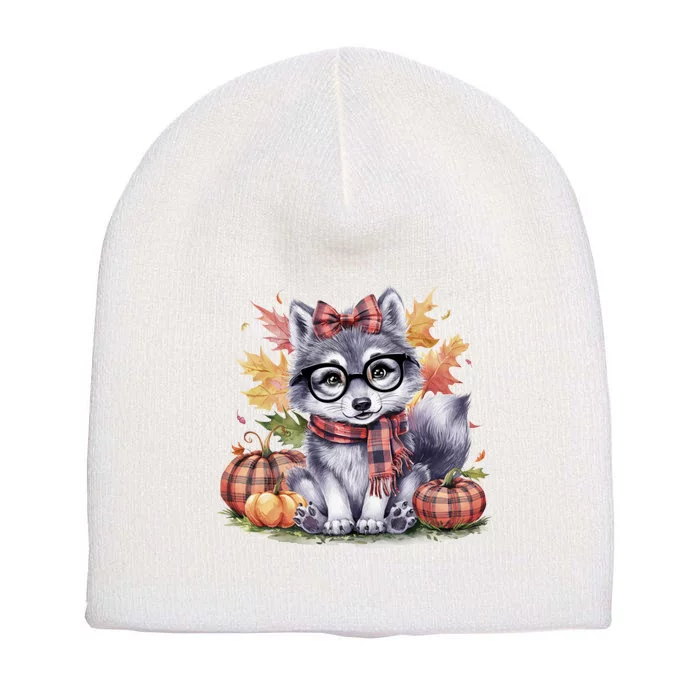 Fall Pumpkin Cute Wolf Fall Autumn Thanksgiving Short Acrylic Beanie