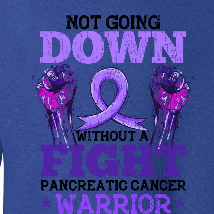 Fighting Pancreatic Cancer Warrior Awareness Purple Graphic Gift Toddler Sweatshirt