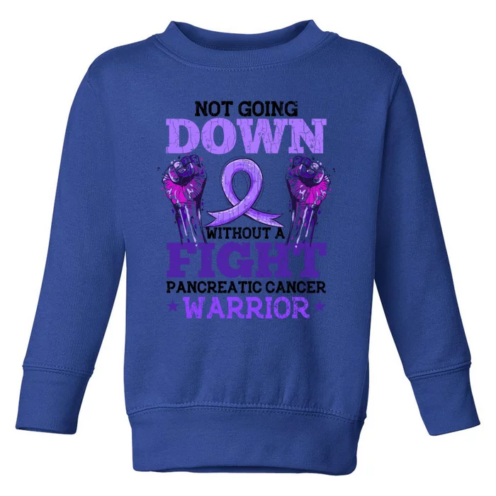 Fighting Pancreatic Cancer Warrior Awareness Purple Graphic Gift Toddler Sweatshirt