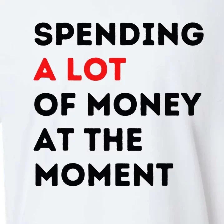 Funny Parents Day Spending A Lot Of Money Right Now Sueded Cloud Jersey T-Shirt