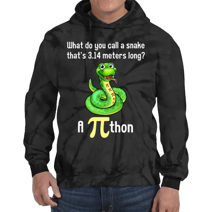 Funny Pi day Puns Pithon Math Teacher Jokes Tie Dye Hoodie