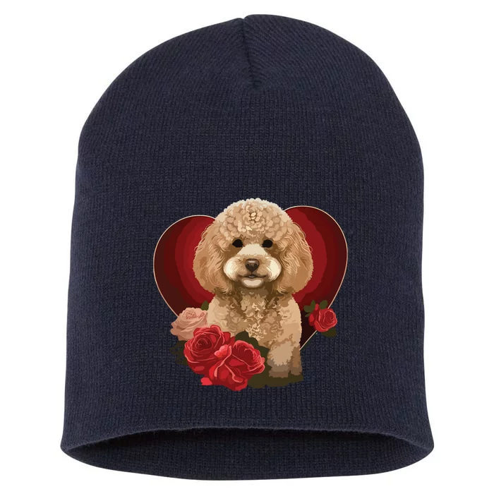 Funny Poodle Dog Miniature Poodle Toy Poodle Valentine Day Short Acrylic Beanie