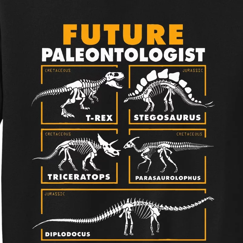 Future Paleontologist Dinosaur Fossil Paleontology Tall Sweatshirt