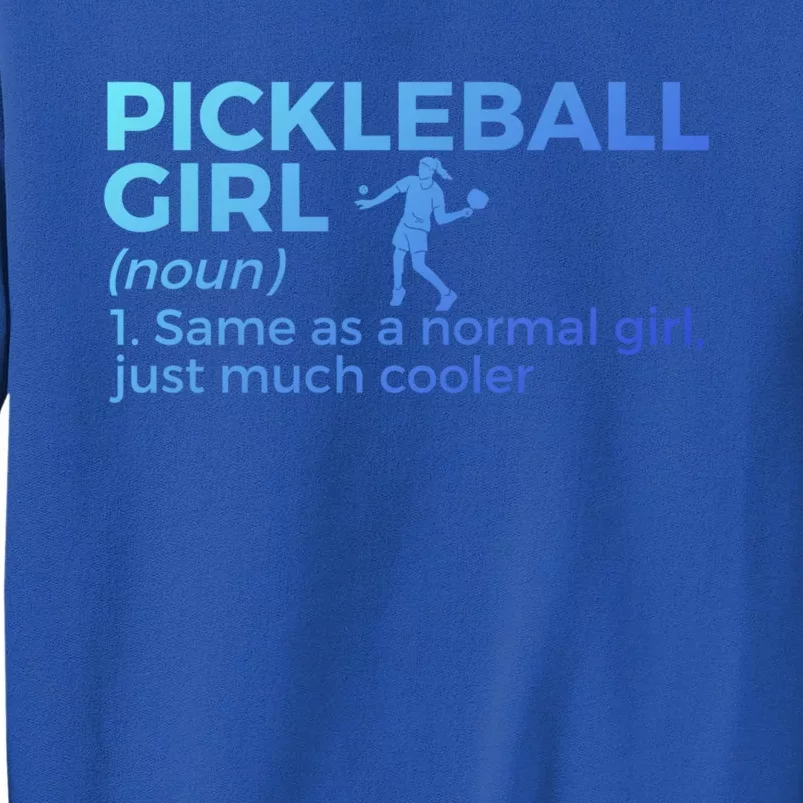 Funny Pickleball Definition Funny Gift Sweatshirt