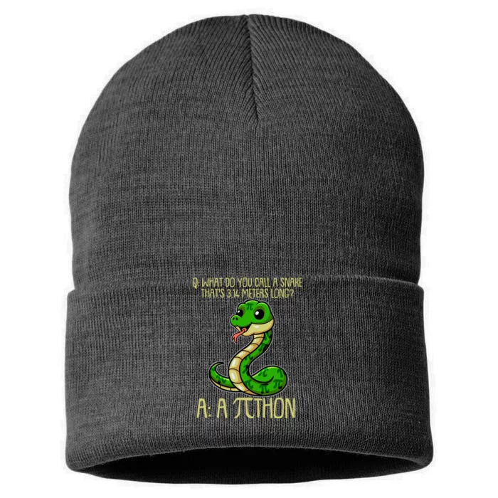 Funny Pi Day 314 PiThon Python Snake Joke Sustainable Knit Beanie