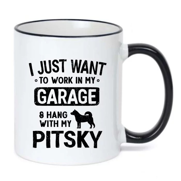 Funny Pitsky Dad Garage Hang With Gift Black Color Changing Mug