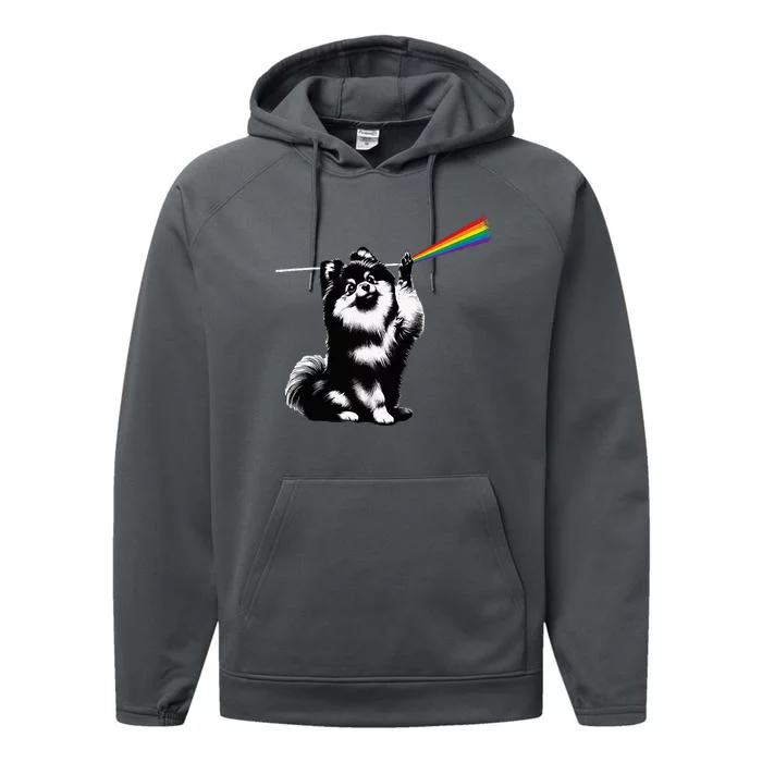 Funny Pomeranian Dog Rock Music Rainbow Fun Dark Side Moon Performance Fleece Hoodie