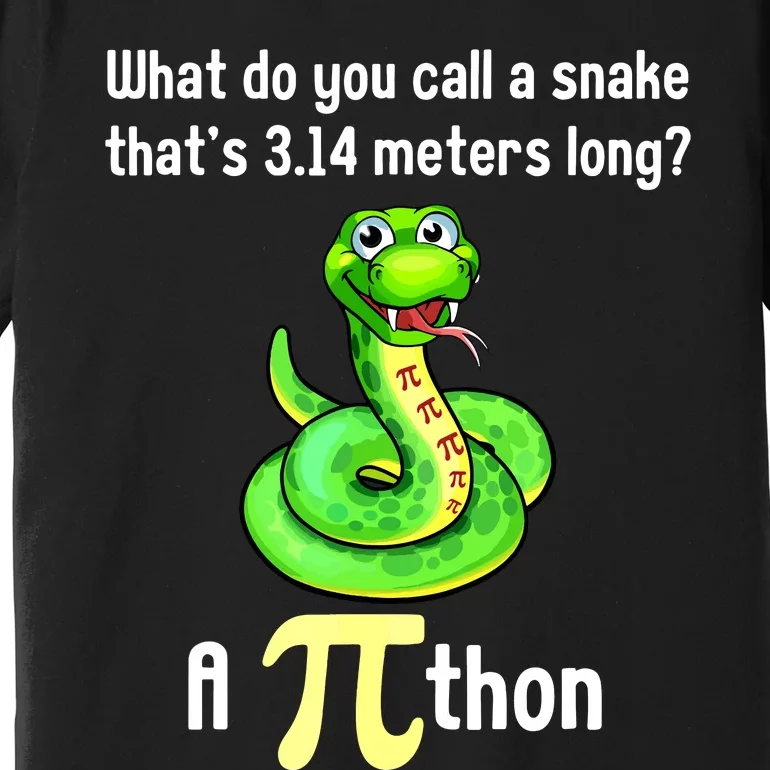 Funny Pi Day Puns Pithon Math Teacher Jokes Premium T-Shirt