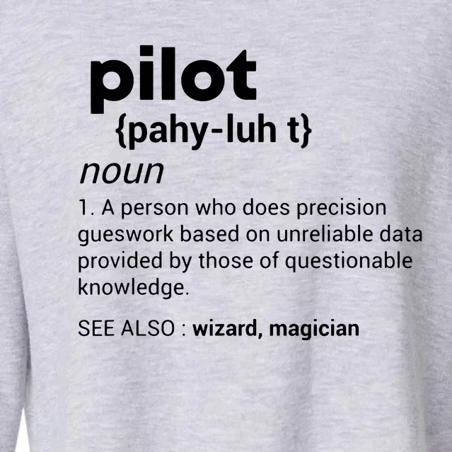 Funny Pilot Definition Design Airplane Jet Aviation Graphic Cropped Pullover Crew