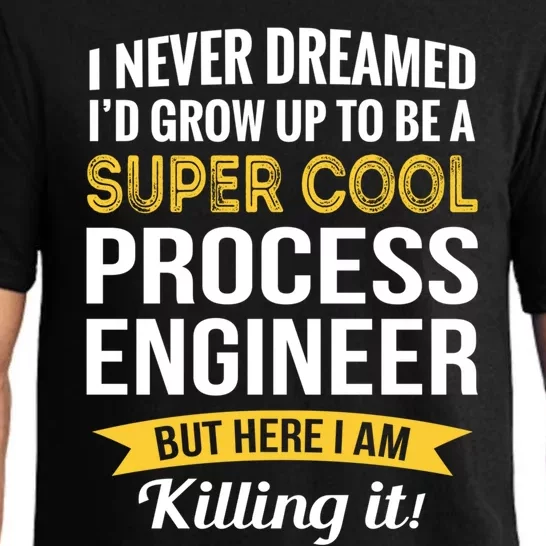 Funny Process Engineer Appreciation Funny Gift Pajama Set