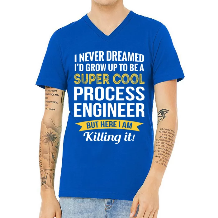 Funny Process Engineer Appreciation Funny Gift V-Neck T-Shirt