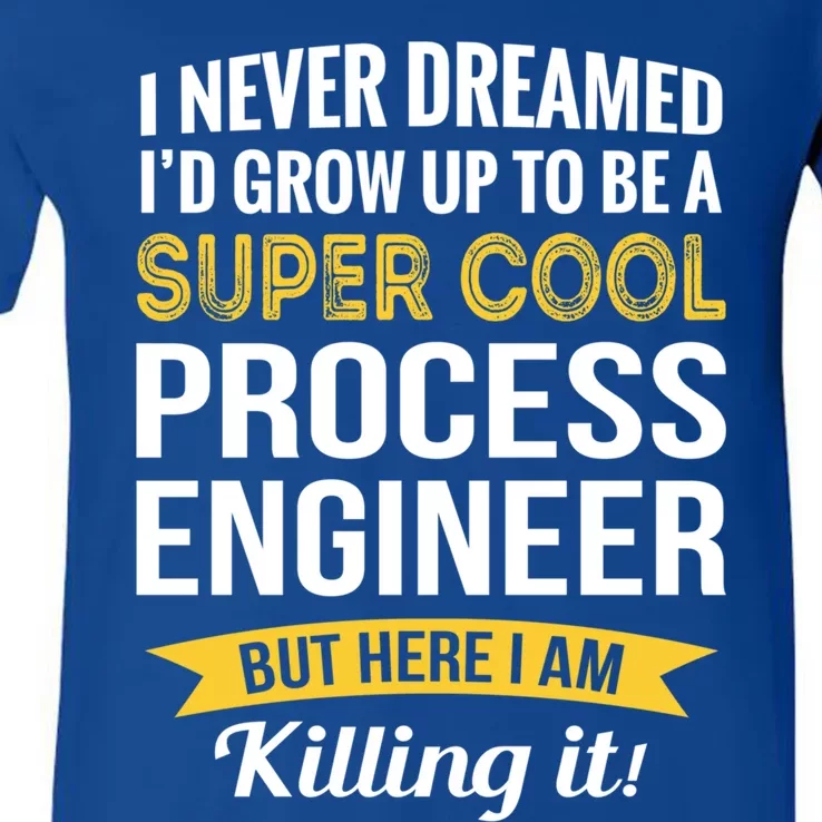 Funny Process Engineer Appreciation Funny Gift V-Neck T-Shirt