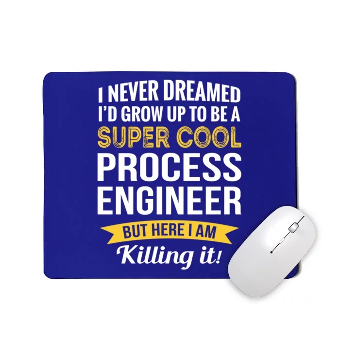 Funny Process Engineer Appreciation Funny Gift Mousepad