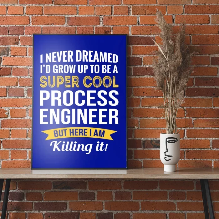 Funny Process Engineer Appreciation Funny Gift Poster