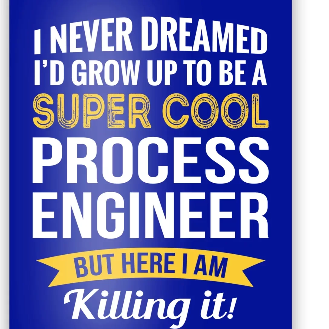 Funny Process Engineer Appreciation Funny Gift Poster