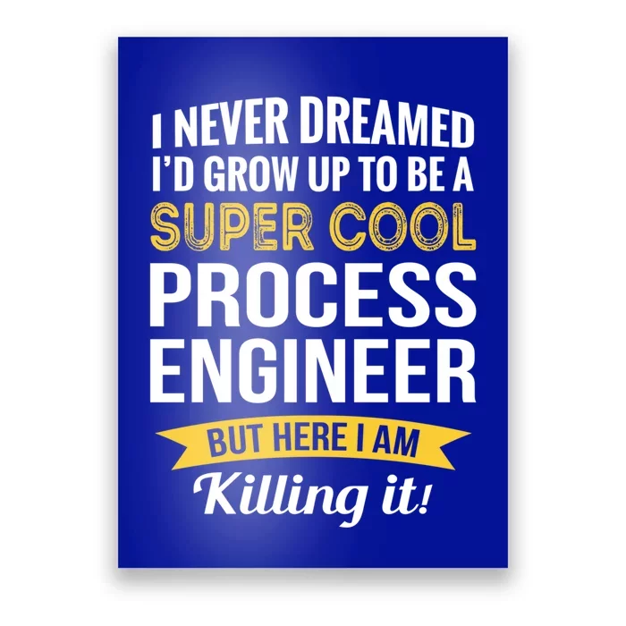 Funny Process Engineer Appreciation Funny Gift Poster