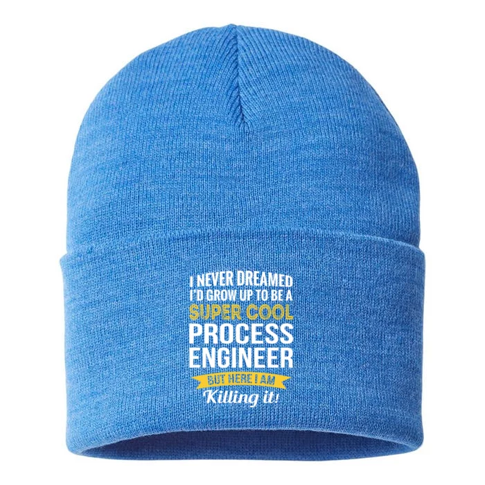 Funny Process Engineer Appreciation Funny Gift Sustainable Knit Beanie