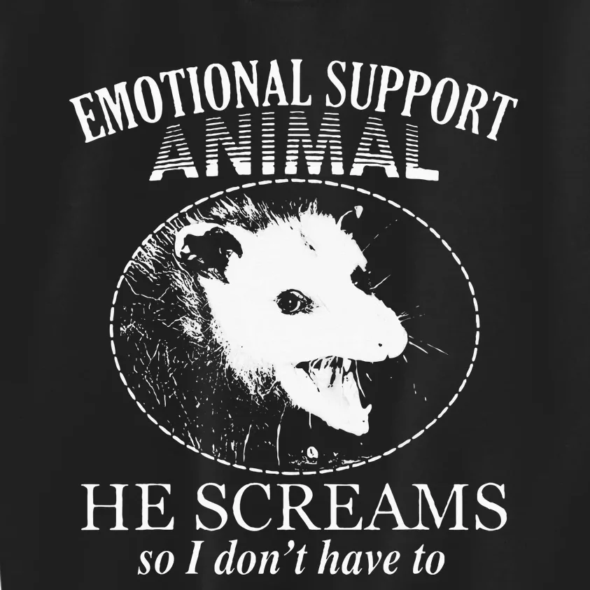 Funny Possum Emotional Support Animal Funny Opossums Memes Kids Sweatshirt