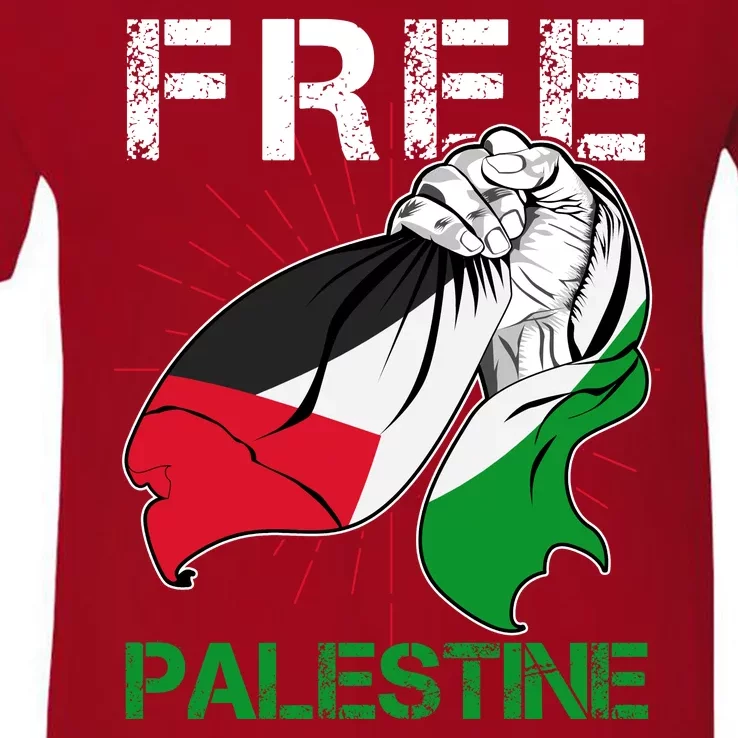 Free Palestine End War Support Palestine V-Neck T-Shirt