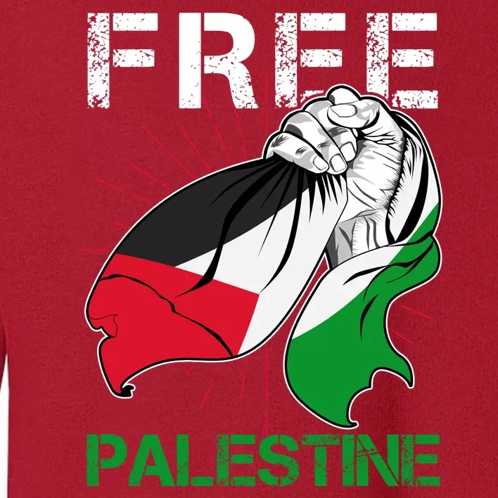 Free Palestine End War Support Palestine Toddler Sweatshirt