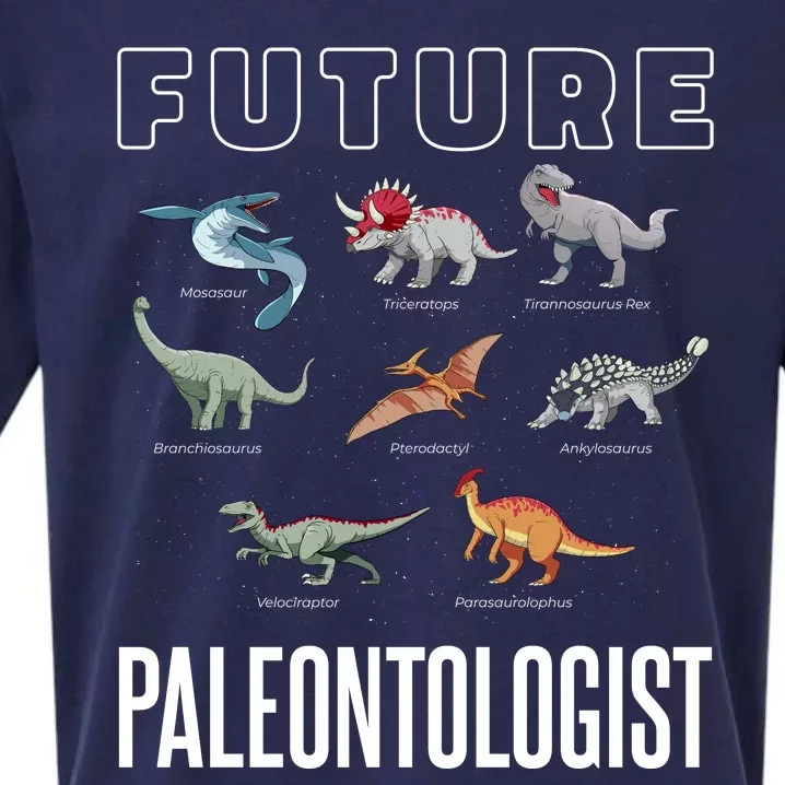 Future Paleontologist Sueded Cloud Jersey T-Shirt