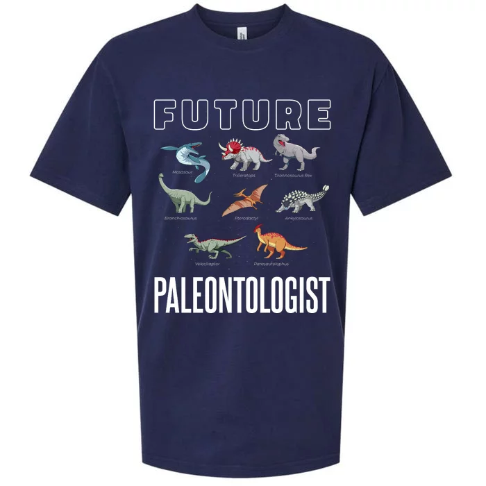 Future Paleontologist Sueded Cloud Jersey T-Shirt