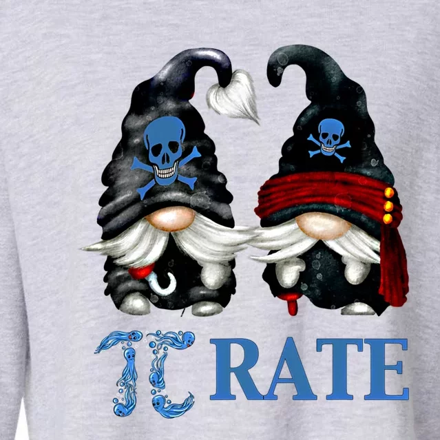 Funny Pirate Gnome Octopus Pi Day Symbol For Math Teacher Cute Gift Cropped Pullover Crew