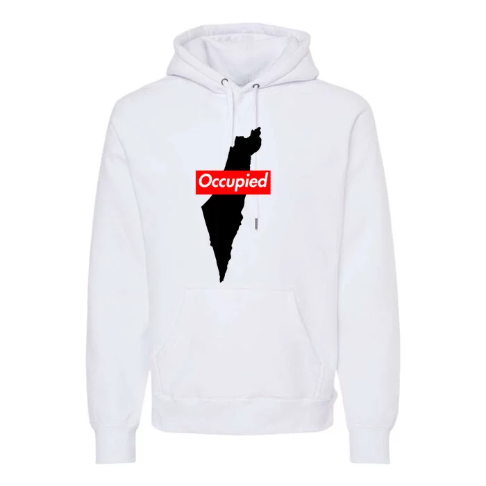 Free Palestine Gaza Palestinian Flag Arabic Premium Hoodie