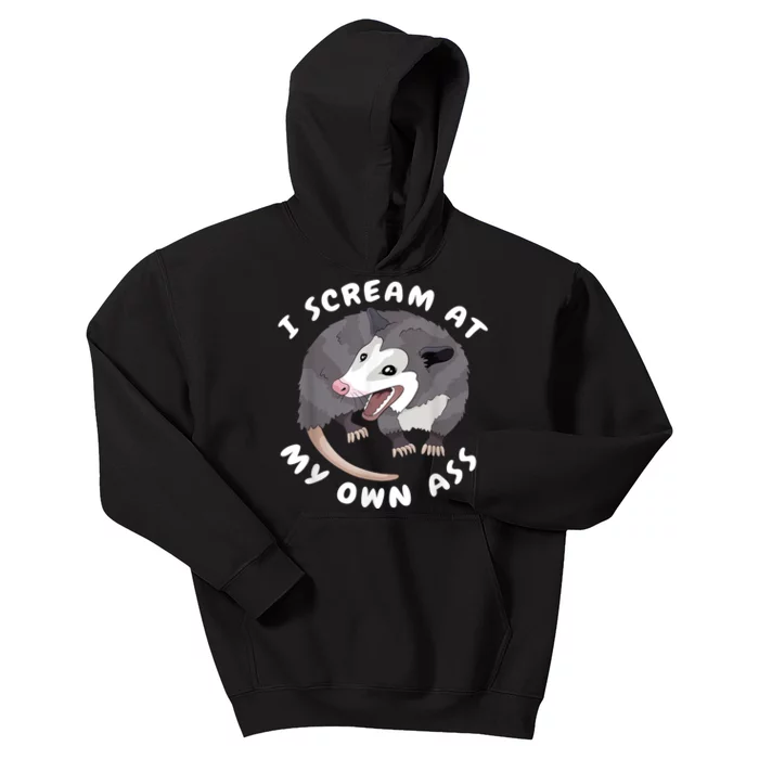 Funny Possum I Scream At My Own Trash Cat Opossum Meme Kids Hoodie