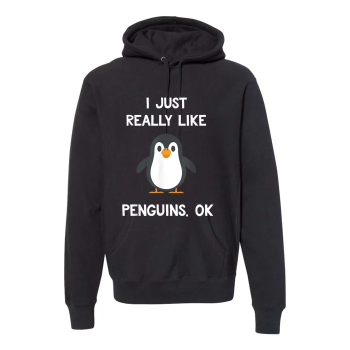 Funny Penguin I Just Really Like Penguins OK Premium Hoodie