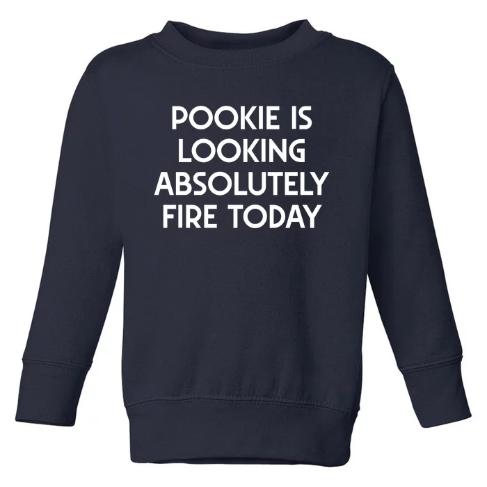 Funny Pookie Is Looking Absolutely Fire Today Toddler Sweatshirt