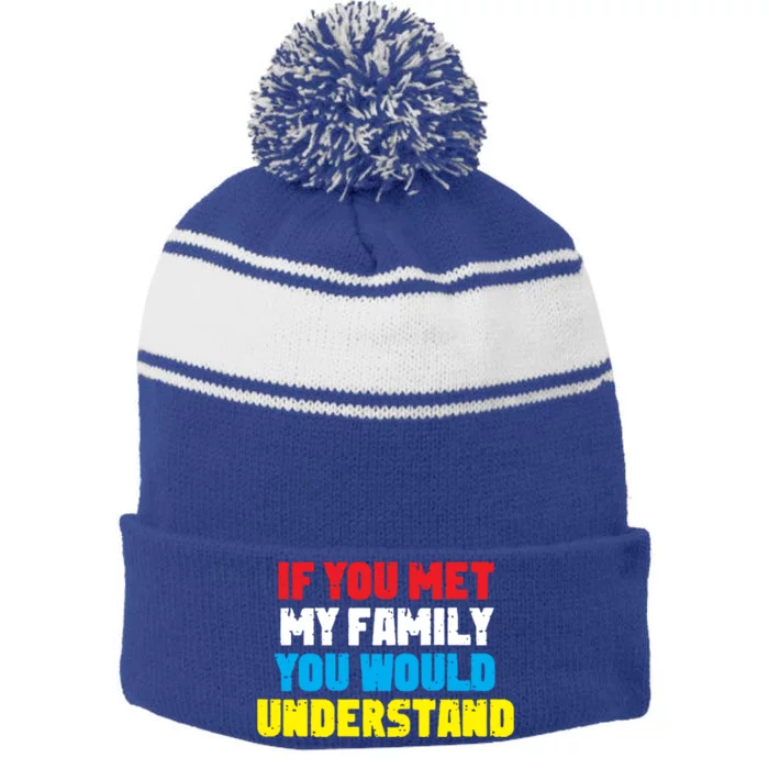 Family Prankster If You Met My Family You Would Understand Great Gift Stripe Pom Pom Beanie