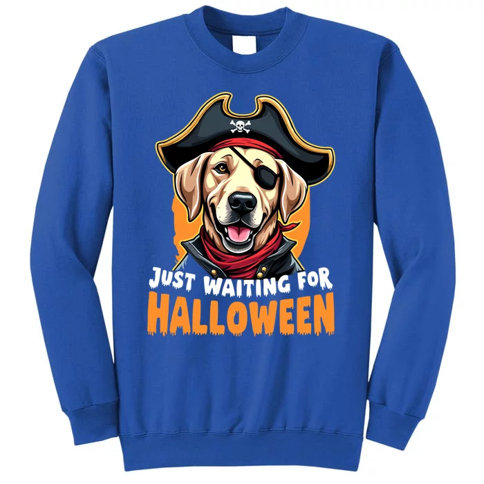 Funny Pirate Labrador Retriever Just Waiting For Halloween Gift Sweatshirt