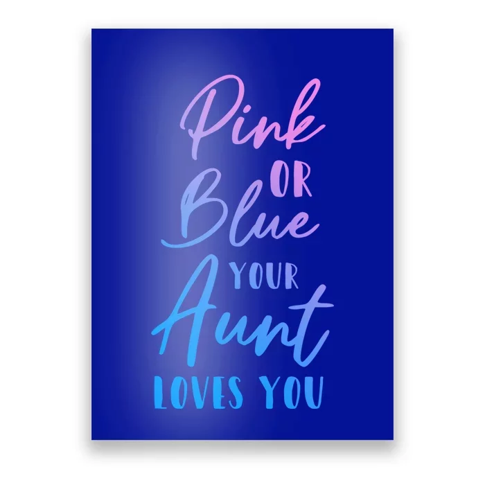 Funny Pink Or Blue Aunt Loves You Nephew Niece Gender Reveal Gift Poster