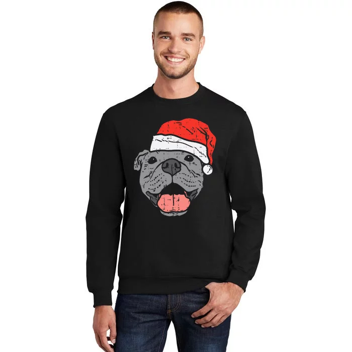 Festive Pitbull Pit Santa Hat Christmas Gift for Dog Lovers Tall Sweatshirt