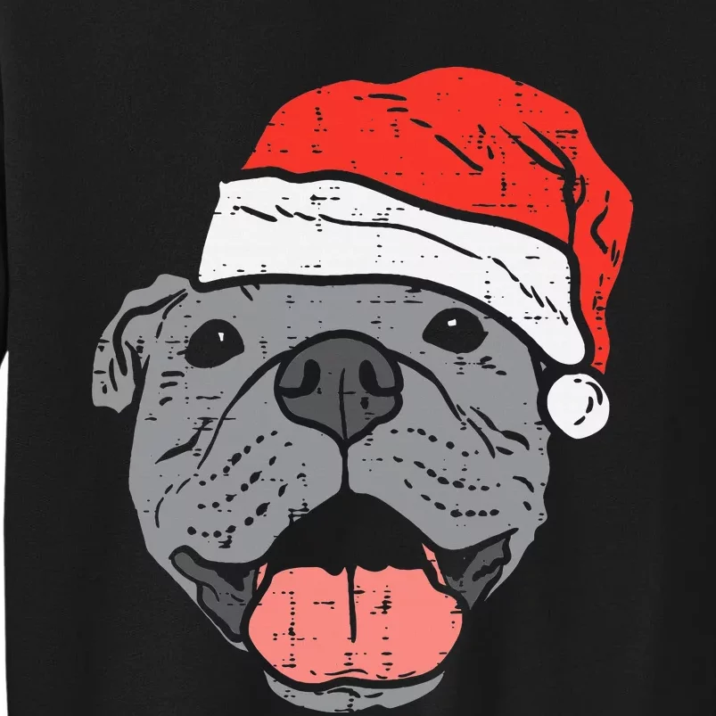 Festive Pitbull Pit Santa Hat Christmas Gift for Dog Lovers Tall Sweatshirt