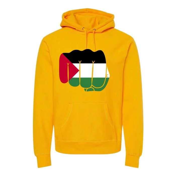 Free Palestine Palestine Flag Support Premium Hoodie