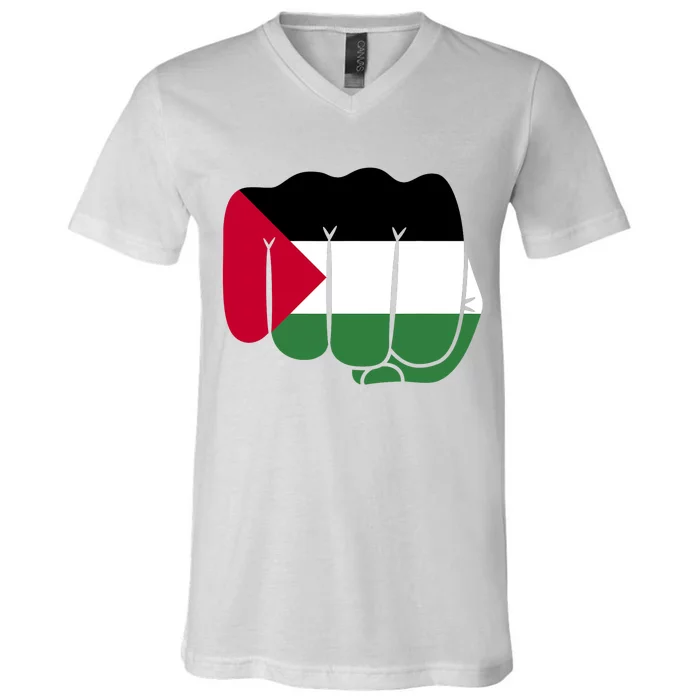 Free Palestine Palestine Flag Support V-Neck T-Shirt