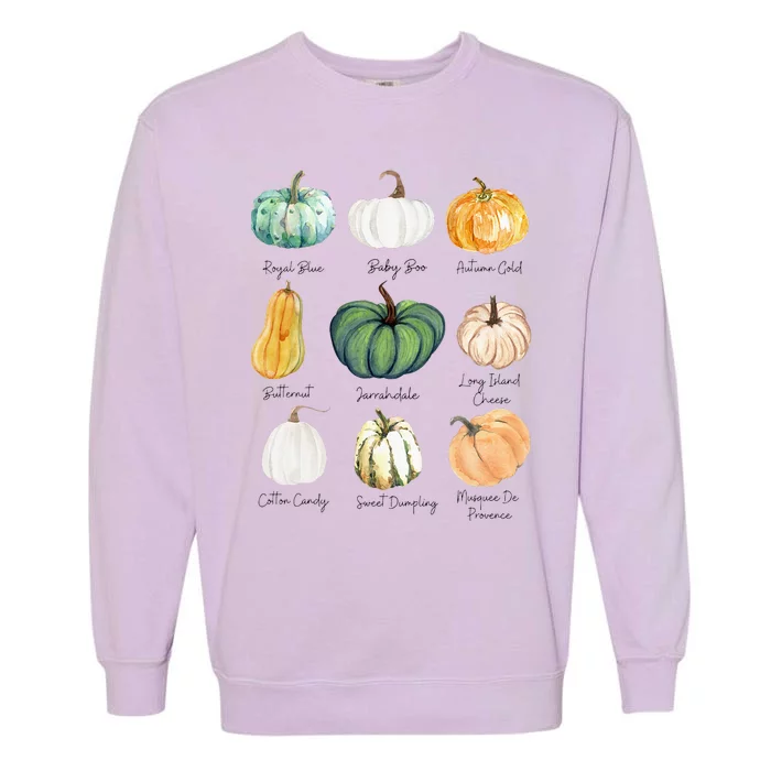 Fall Pumpkins Pumpkin Types And Varieties Garment-Dyed Sweatshirt