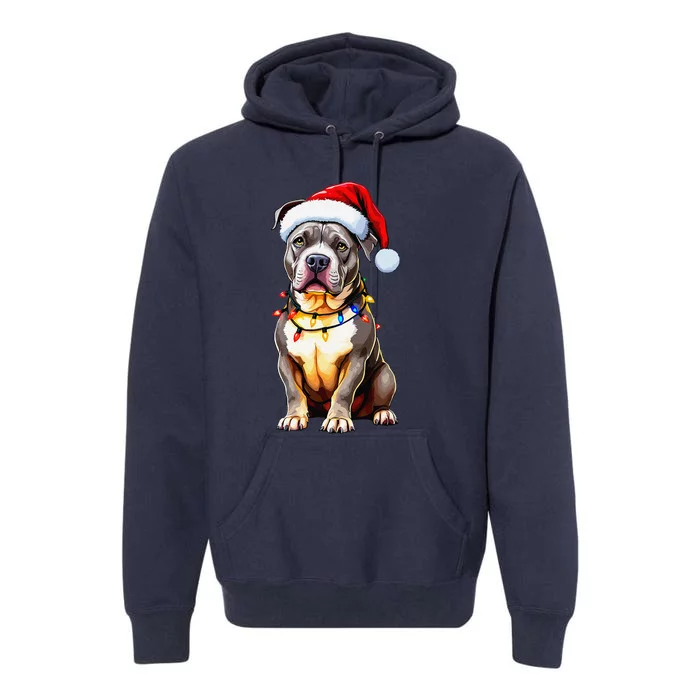 Funny Pitbull Pittie Santa Dog Lover Xmas Christmas Lights Premium Hoodie